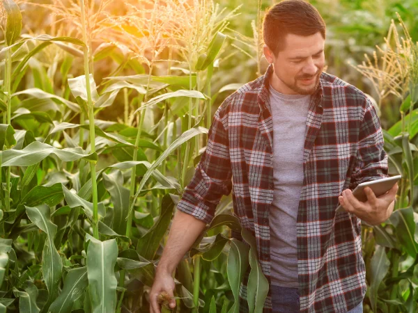 quanto guadagna un agronomo negli stati uniti